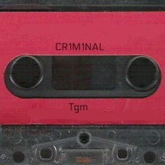 CR1M1NAL