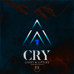 CRY JUST A LITTLE - BINGO PLAYERS [SHRYNES REMIX]