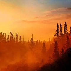 Red Mist Descending