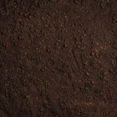 From Dirt
