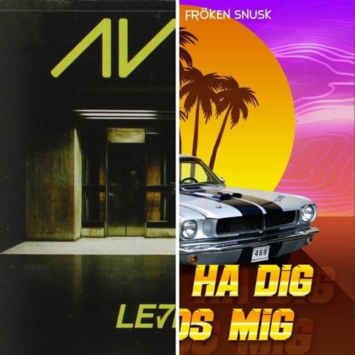LEVELS X DALAHÄST (MASHUP)