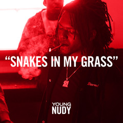 Snakes In My Grass