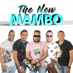 The New Mambo Juana Mecho En Vivo