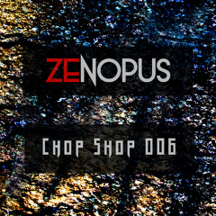 Chop Shop 006