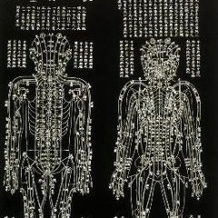 lyfeee-run it down(02)