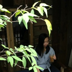 Phiến Lá Tĩnh Lặng - Thùy Chi (Châu Hải My Cover)