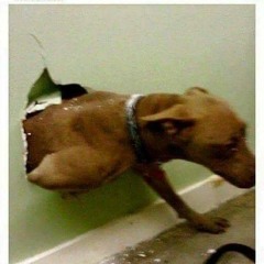 0208 - Tactical Positioning - 1