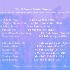 Tribal Sheild - 12 Tribes Sacred Master Psonn
