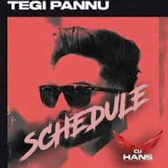 Schedule Remix - Tegi Pannu DJ Hans