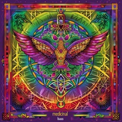 MEDICINAL BASS VIBES - LIVE ECSTATIC DANCE - THE DEN, PORTLAND - 8.7.24 (TRACKLIST)