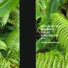 Rose Ave Radio | Ep 14: Henri Bergmann (DJ Set)
