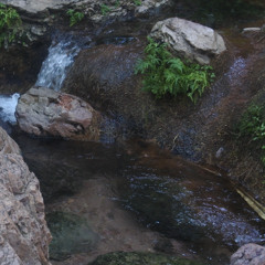 i will until i forget how