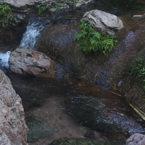 i will until i forget how