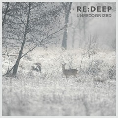 re:deep - Unrecognized
