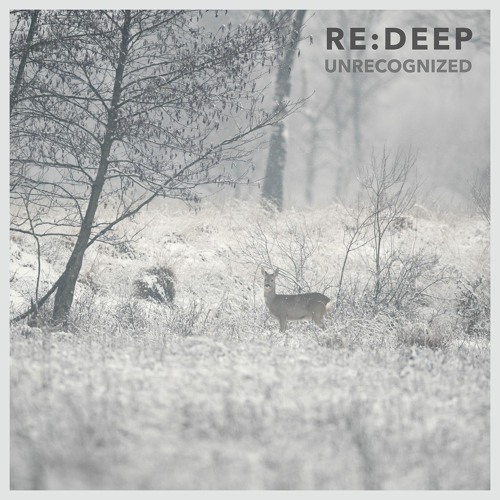 re:deep - Unrecognized