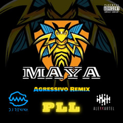 PLL - MAYA x DEEP AGRESSIVO (ALEXKARTEL & DJ RENINA CLUB EDIT)