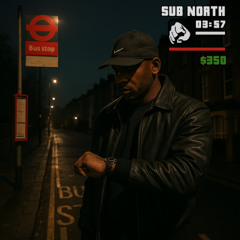 RUSH RUSH - SubNorth remix