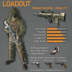 Loadout-  Voidie X YT