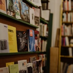 CCA Podcast #11 | Abi Mordin / Martin Vincent / Sanne Jehoul and Matt Lloyd / Kate Coventry