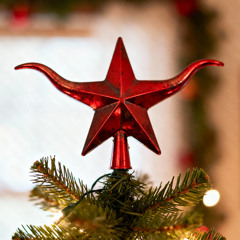 God Gave Me BBQ (Christmas in Texas)