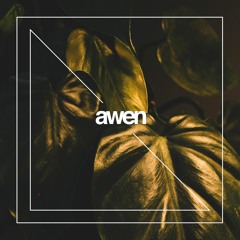 Kareem Zadd - Last Time - (Original Mix)[Awen Records]