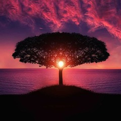 We Want Some Pussy & Gucci You Through & Ice Ice Baby