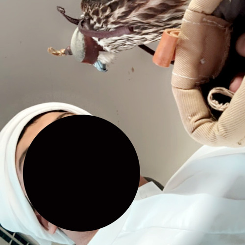 faz3 x قامت الساعه