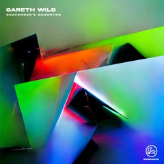 Gareth Wild - Tangled Thorns [Premiere | SOMA651D]