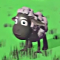 my uploads fool