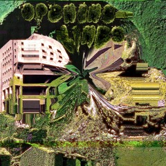 Opening-Lines (Feat. Self Debt)