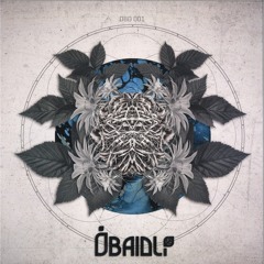 Premiere : Bídlee - Morph Your Keys (OBD001)
