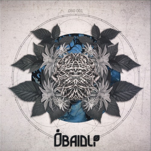 Premiere : Bídlee - Morph Your Keys (OBD001)