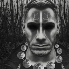 Dogspirit - Damage of the wolf (fast remix by moon)