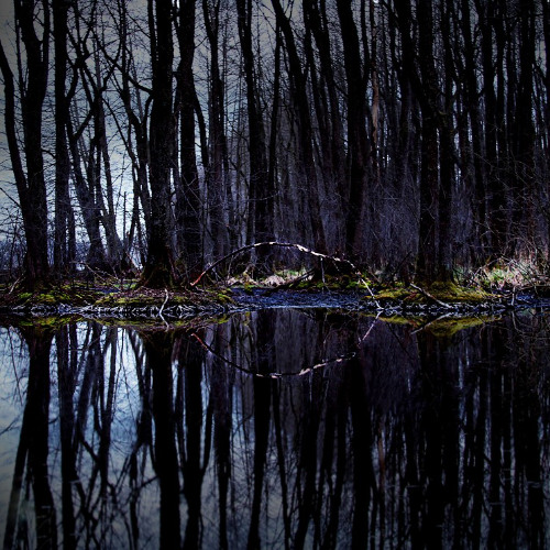Dark times