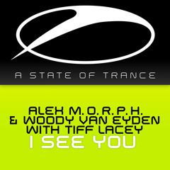 I See You (Radio Edit)
