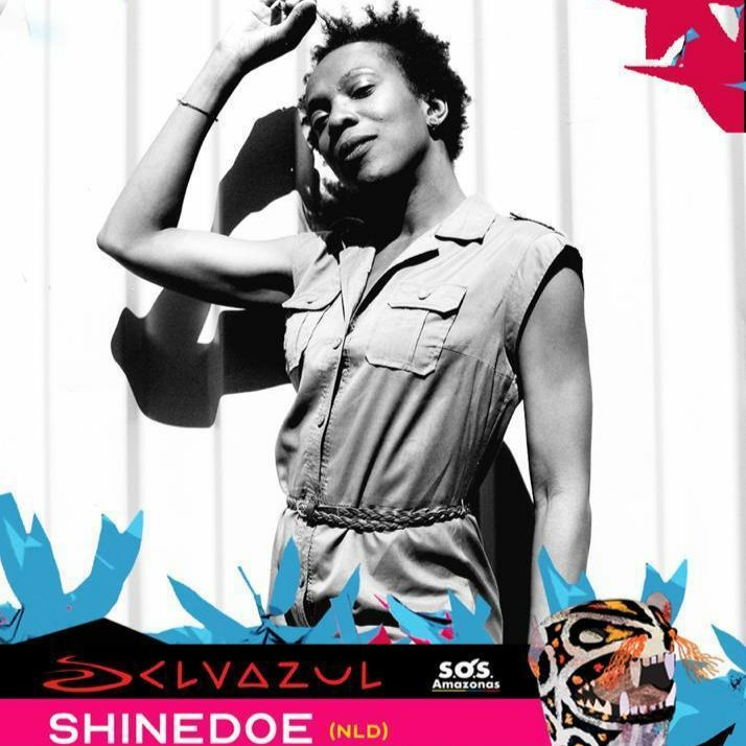 Shinedoe
