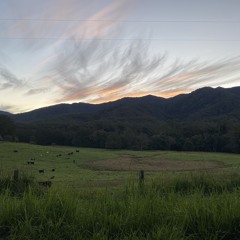 Untitled ambient