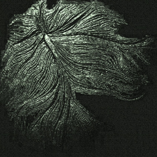 Nezzus - Dis Ain't What U Want (prod. xdkole x imtired001)