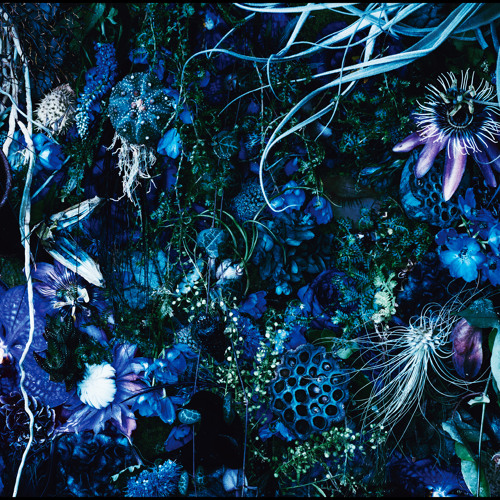 Voice (feat. Kiyoharu)