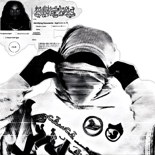 vant - 07