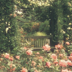 Garden {Prod. Maks}