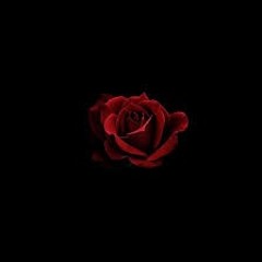 Crush (feat. little Boe) [prod. Little Boe]