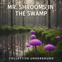 Mr. Shroom is in the swamp