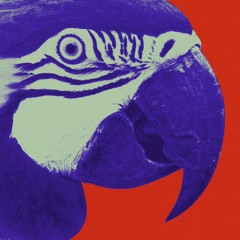 Joyce Muniz & Theus Mago - Balin Bali Remixes | Exploited