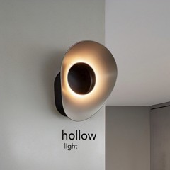 Hollow Light