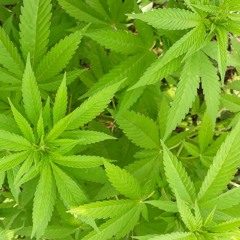 Robert Wawrzyniak - 20250403 TechShortMix