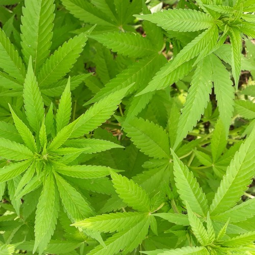 Robert Wawrzyniak - 20250403 TechShortMix