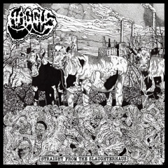 HAGGUS - Uneducated Politician