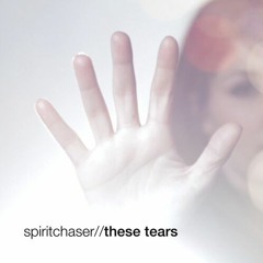 Spiritchaser - These Tears (Park Remix)