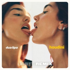 Dua Lipa - Houdini (Ligotti Remix)